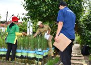 Pemkot Semarang Terus Dorong Pemanfaatan Lahan Tidur untuk Urban Farming