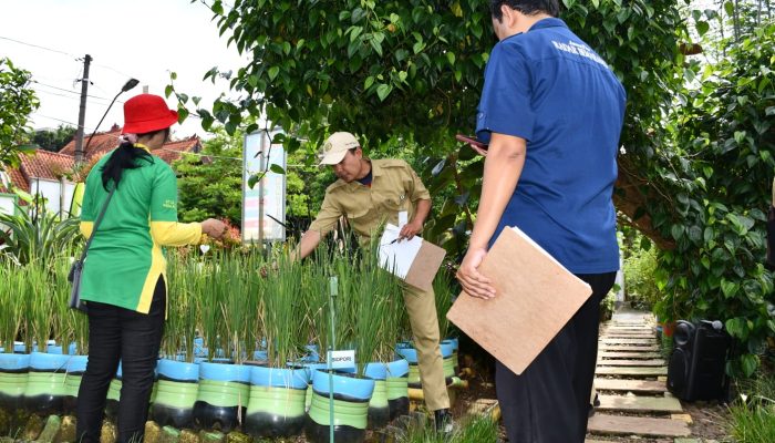 Pemkot Semarang Terus Dorong Pemanfaatan Lahan Tidur untuk Urban Farming