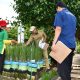 Pemkot Semarang Terus Dorong Pemanfaatan Lahan Tidur untuk Urban Farming