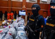 BNN dan Bea Cukai Berhasil Ungkap Kasus Penyelundupan Ganja Thailand Jaringan Internasional
