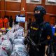 BNN dan Bea Cukai Berhasil Ungkap Kasus Penyelundupan Ganja Thailand Jaringan Internasional