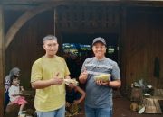 Serunya Menikmati Sensasi Makan Durian Langsung Dari Kebunnya