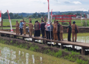 Mbak Ita Optimis Kota Semarang Raih yang Terbaik Dalam Lomba Habitat Tingkat Provinsi Jateng