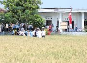 Inovasi Pemkot Semarang Lahan Salin, Masa Depan Pangan dan Energi Berkelanjutan