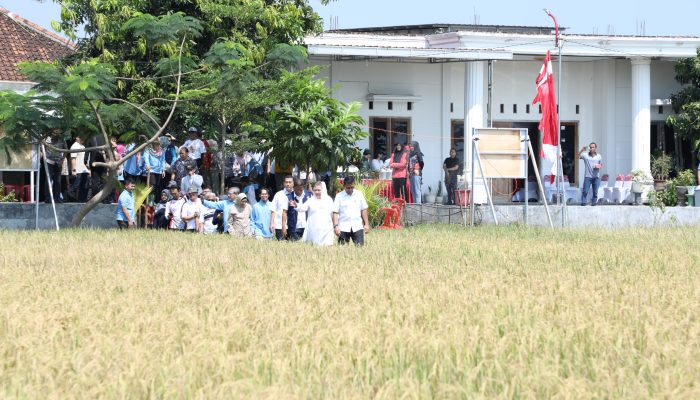 Inovasi Pemkot Semarang Lahan Salin, Masa Depan Pangan dan Energi Berkelanjutan