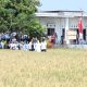 Inovasi Pemkot Semarang Lahan Salin, Masa Depan Pangan dan Energi Berkelanjutan