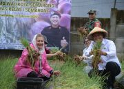 Bersama Warga Binaan Lapas, Mbak Ita Panen Bawang Varietas Bima Brebes