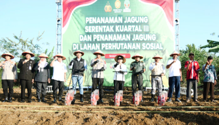 Dukung Ketahanan Pangan Nasional, Wali Kota Semarang Akan Optimalkan Lahan Tidur Untuk Ditanami Jagung