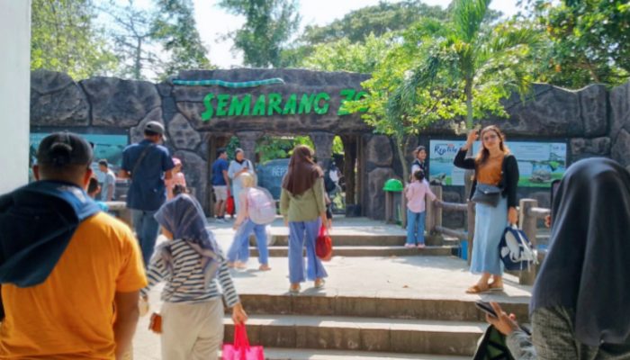 Wow Keren…!!! Berikan Pelayanan Kepada Masyarakat, Semarang Zoo Turunkan Harga Tiket di Akhir Pekan
