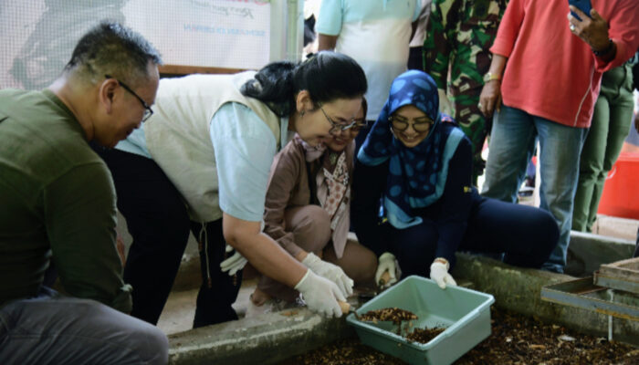 Wali Kota Semarang Hadiri Panen Perdana Budidaya Magot di Kelurahan Jabungan