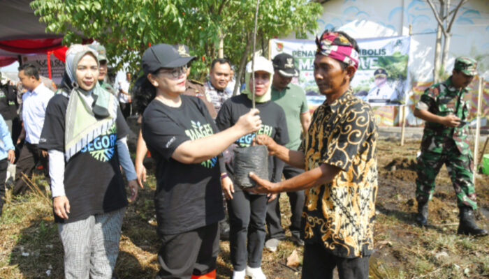Dukung Mageri Segoro, Wali Kota Semarang Gerakkan Tanam Cemara Laut di Pesisir Semarang