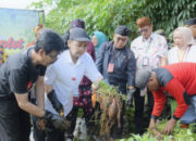 Panen Raya, Wali Kota Semarang Perkuat Ketahanan Pangan Lokal Dengan Menanam Ubi Jalar dan Singkong