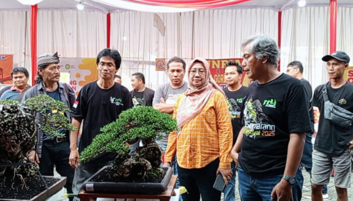 Catat Tanggalnya! PPBI Cabang Kota Semarang Ikut Meramaikan Pameran dan Kontes Tanaman Hias 2025 di Wonderia, Tampilkan 54 Jenis Bonsai