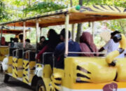 Info Akhir Tahun! Berikut Event Menarik Semarang Zoo Rayakan Tahun Baru 2026