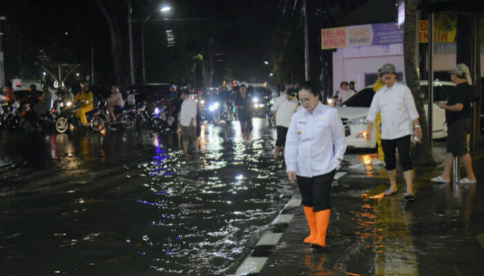 Belajar dari Air, Kota Semarang Bertransformasi Hadapi Banjir