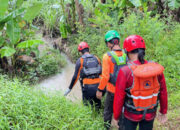 Terjatuh Saat Bermain Sepeda, Tim SAR Lakukan Pencarian Seorang Anak Umur 5 Tahun yang Hanyut di Sungai Perak Kudus