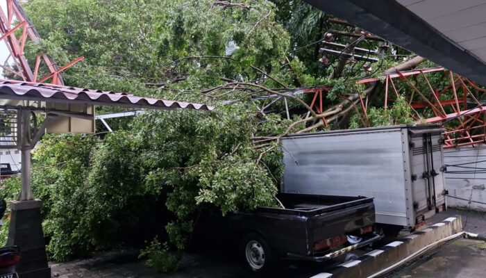 BPBD Kota Semarang: Akibat Angin Puting Beliung, 105 Bangunan Rusak dan 104 Pohon Tumbang