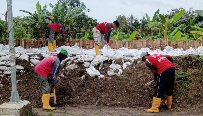 Respon Dampak Hujan Ekstrem di Wilayah Tembalang, Pemkot Semarang Gerak Cepat Perkuat Tanggul Kali Babon