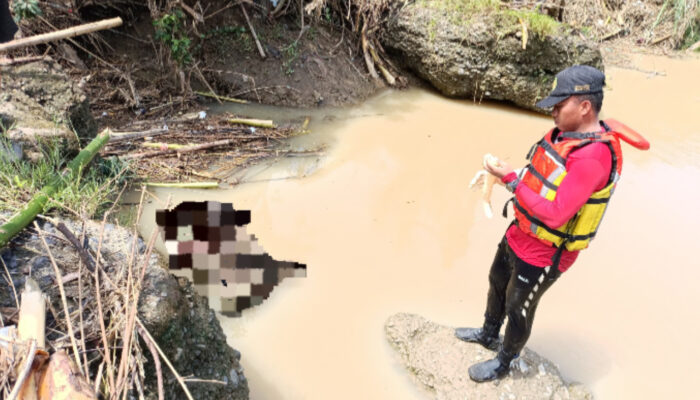 Pencarian Dua Hari, Dua Remaja Pemalang Korban Sungai Laes Akhirnya Ditemukan