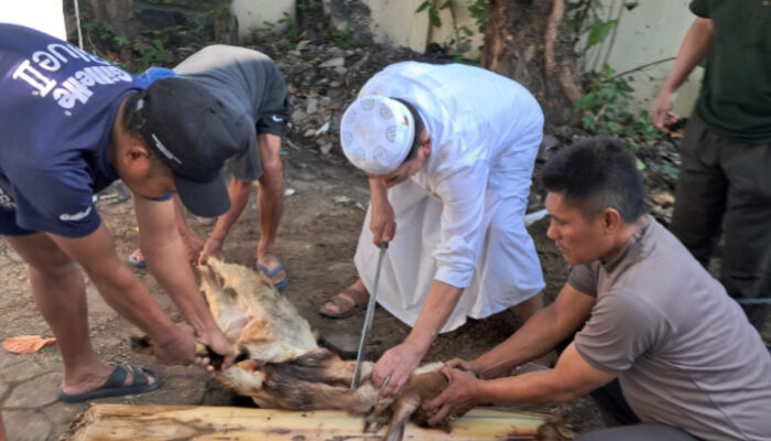 Istiqamah Berkurban, Dr. Kukuh Sudarmanto Alugoro Serahkan 10 Kambing di Masjid Baitur Rasyid USM