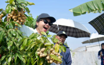 Agustina Wilujeng Resmikan Agro Eduwisata Masjid Agung Semarang, Dorong Pengembangan Wisata Pertanian Kota Semarang