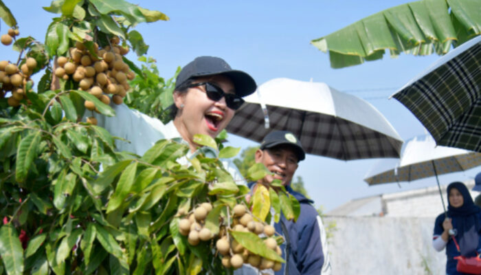Agustina Wilujeng Resmikan Agro Eduwisata Masjid Agung Semarang, Dorong Pengembangan Wisata Pertanian Kota Semarang