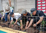 Taman DheDhe Wonodri Disulap Jadi Lahan Urban Farming, Warga Tanam Ratusan Bibit Cabai