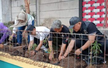 Taman DheDhe Wonodri Disulap Jadi Lahan Urban Farming, Warga Tanam Ratusan Bibit Cabai