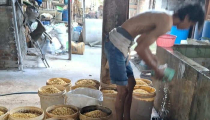 Tim Pengabdian kepada Masyarakat Universitas Semarang Beri Pendampingan UMKM Tahu Iqbal Kudus