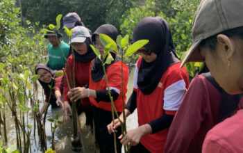 Peringati HUT ke-81 RI, UKM PIB USM Tanam Mangrove di Pesisir Semarang