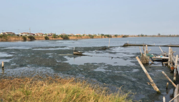 Kendal Hadapi Tantangan Air Bersih dan Ancaman Rob, Giant Sea Wall Jadi Perhatian