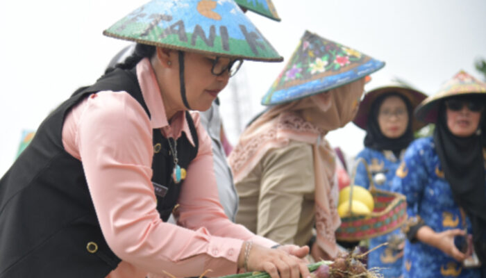 Wali Kota Semarang Minta Pertanian Terpadu BSM Tak Berhenti di Produksi, Pasar Harus Disiapkan